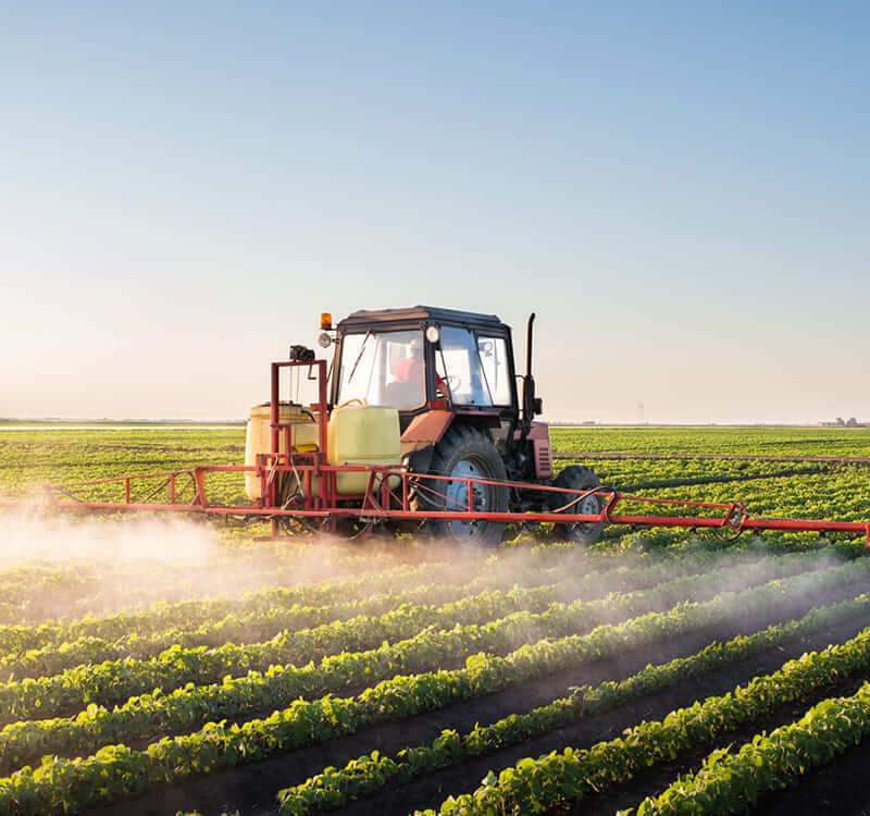 Infinity Metal World